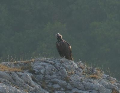 Прикрепленное изображение: DSCF4695.jpg